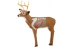 Delta Archery Archer's Choice Real-World Buck
