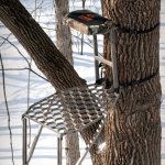 Leverage Treestands Speed Ladder Stand